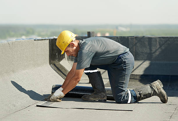 Best Cellulose Insulation in Rose Valley, PA
