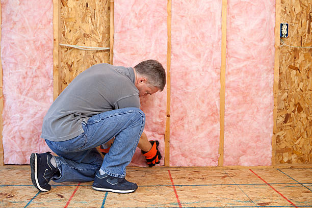 Best Eco-Friendly Insulation in Rose Valley, PA