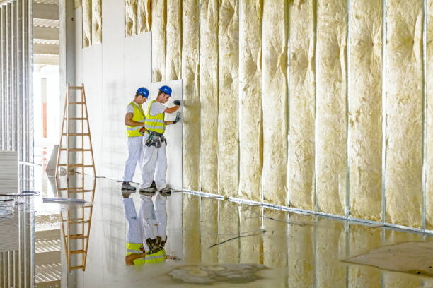 Best Blown-in Insulation in Rose Valley, PA